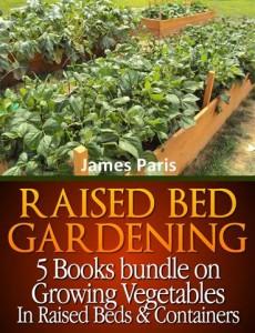 raised bed gardening