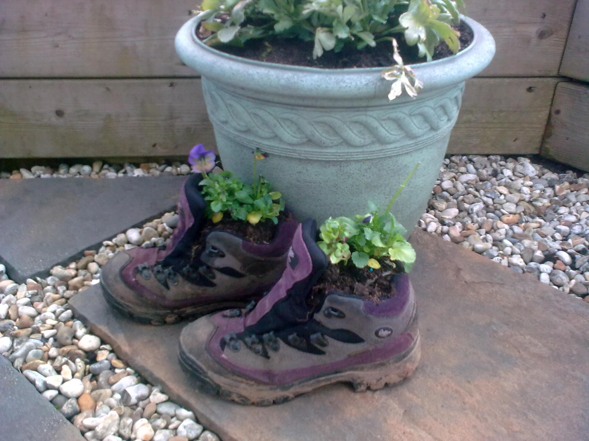 Container Gardening – Give Your Plants The Boot ! – The Planters Post