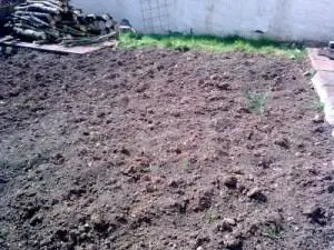 ground preparation for potatoes