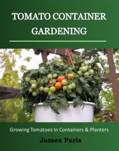 tomato container gardening