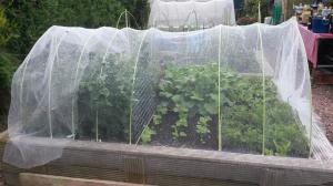 garden insect mesh