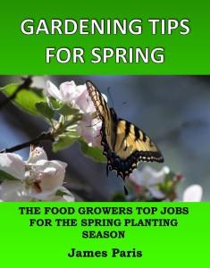 spring vegetable gardening