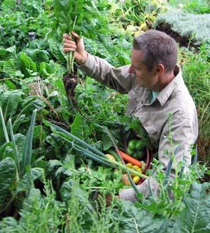 Ecological Vegetable Gardening | Food 4 Wealth | The Planters Post ...
