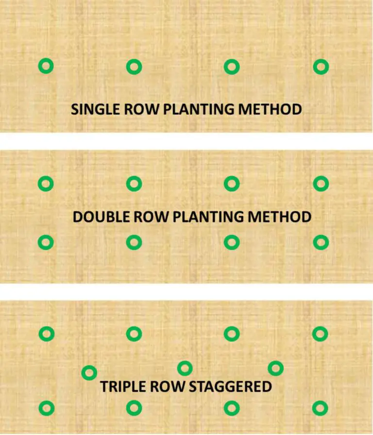 Straw Bale Gardening Conditioning Chart