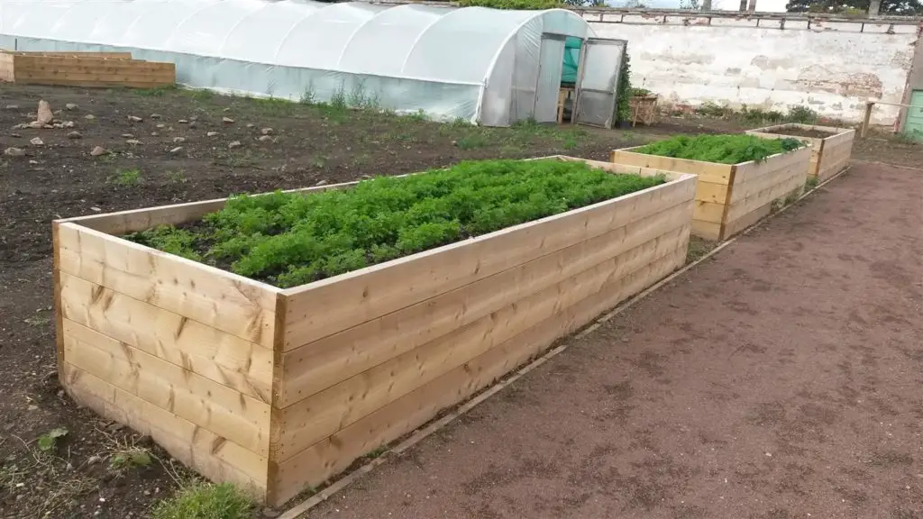 deep raised bed garden