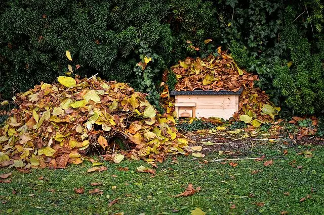 mulching with leaves