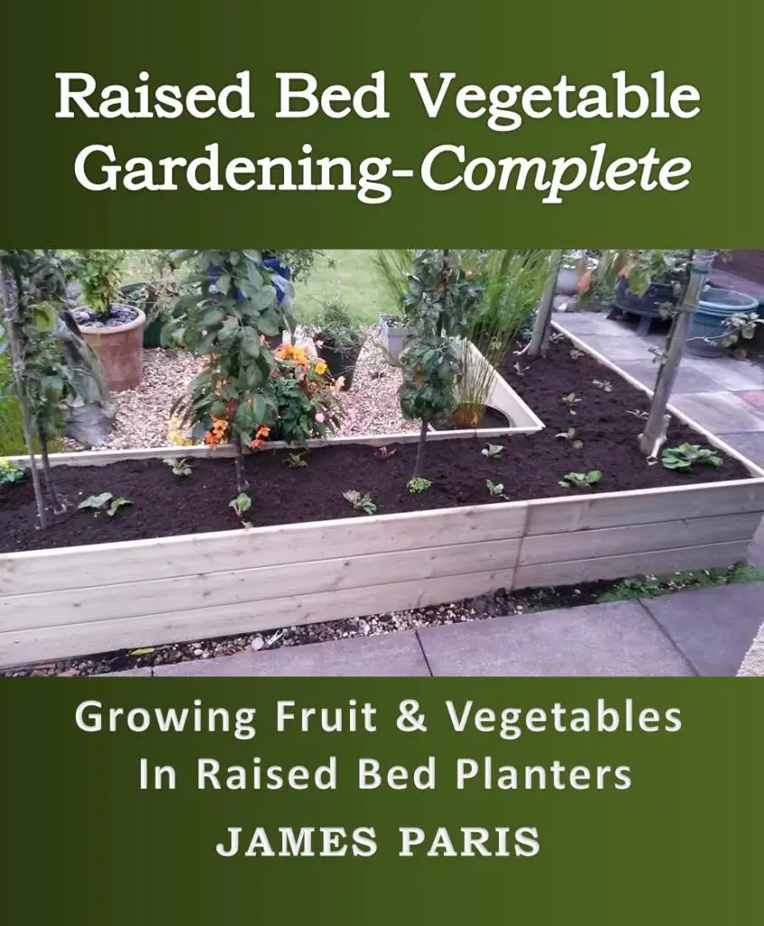 Raised Bed Book