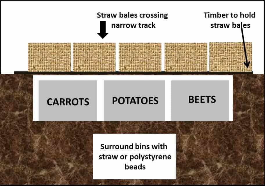 hole in ground diy root cellar