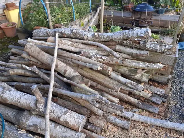 pile of logs for hugelkultur
