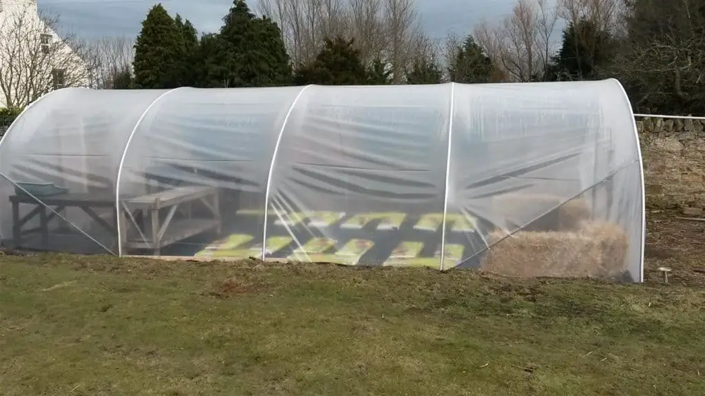 20 foot polytunnel with newly stretched polythene covering down at my kitchen garden