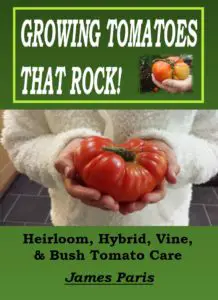 our book with an image of a giant tomato on the cover and text saying 'Growing Tomatoes That Rock'