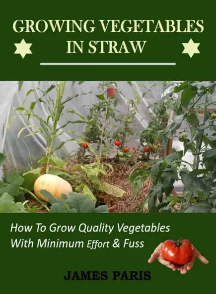 book front cover for straw bale gardening showing tomatoes growing in a straw bale