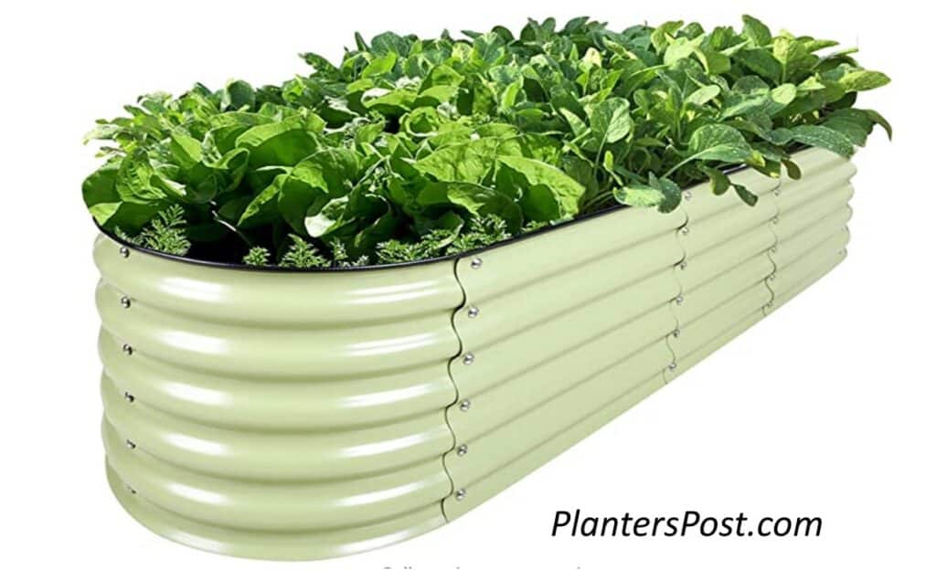 Light green colored, galvanized Steel garden bed growing a variety of winter greens