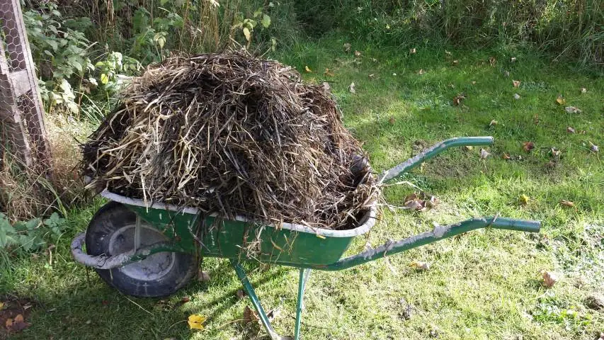 old straw bale mulch