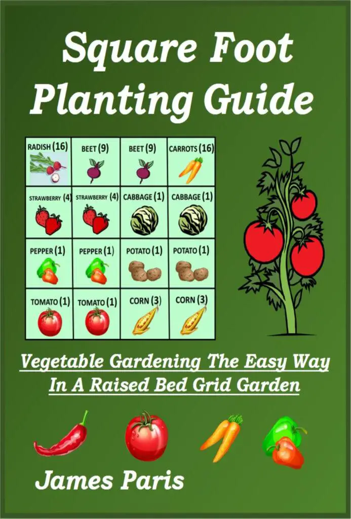 cover image of my book on square foot gardening