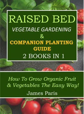 raised bed companion planting book