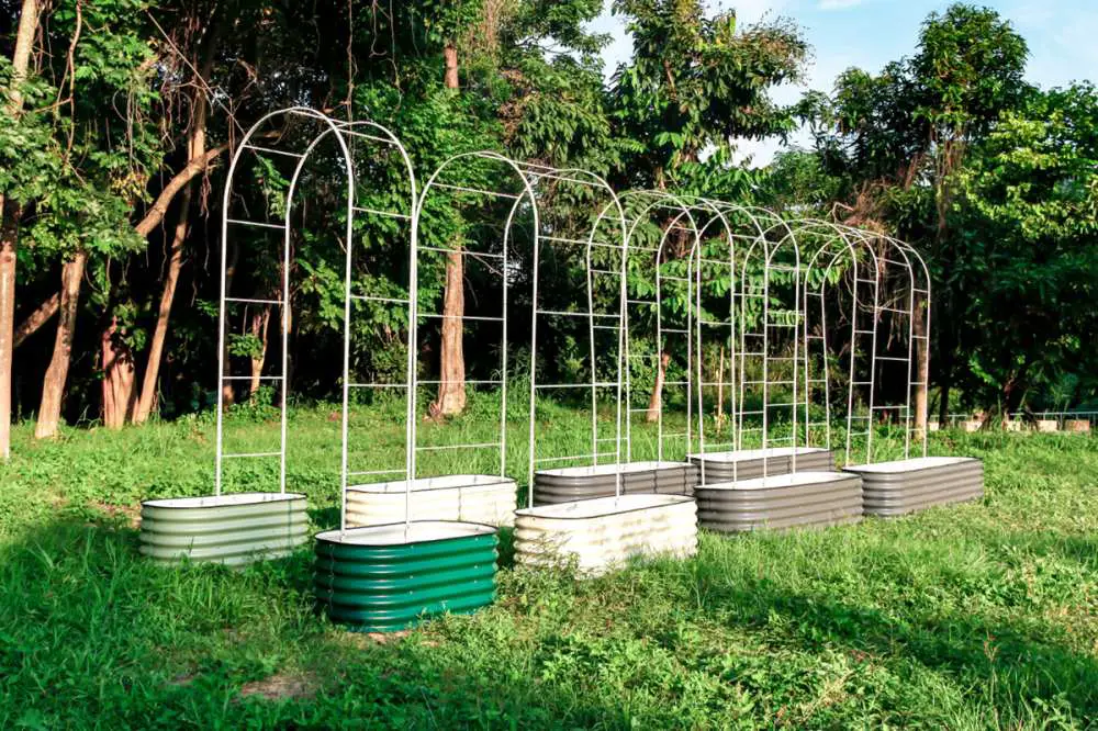 steel raised beds connected by trellis work